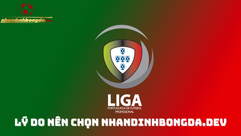 Tại sao nên tham gia nhận định bóng đá Bồ Đào Nha cùng web Nhandinhbongda.dev?